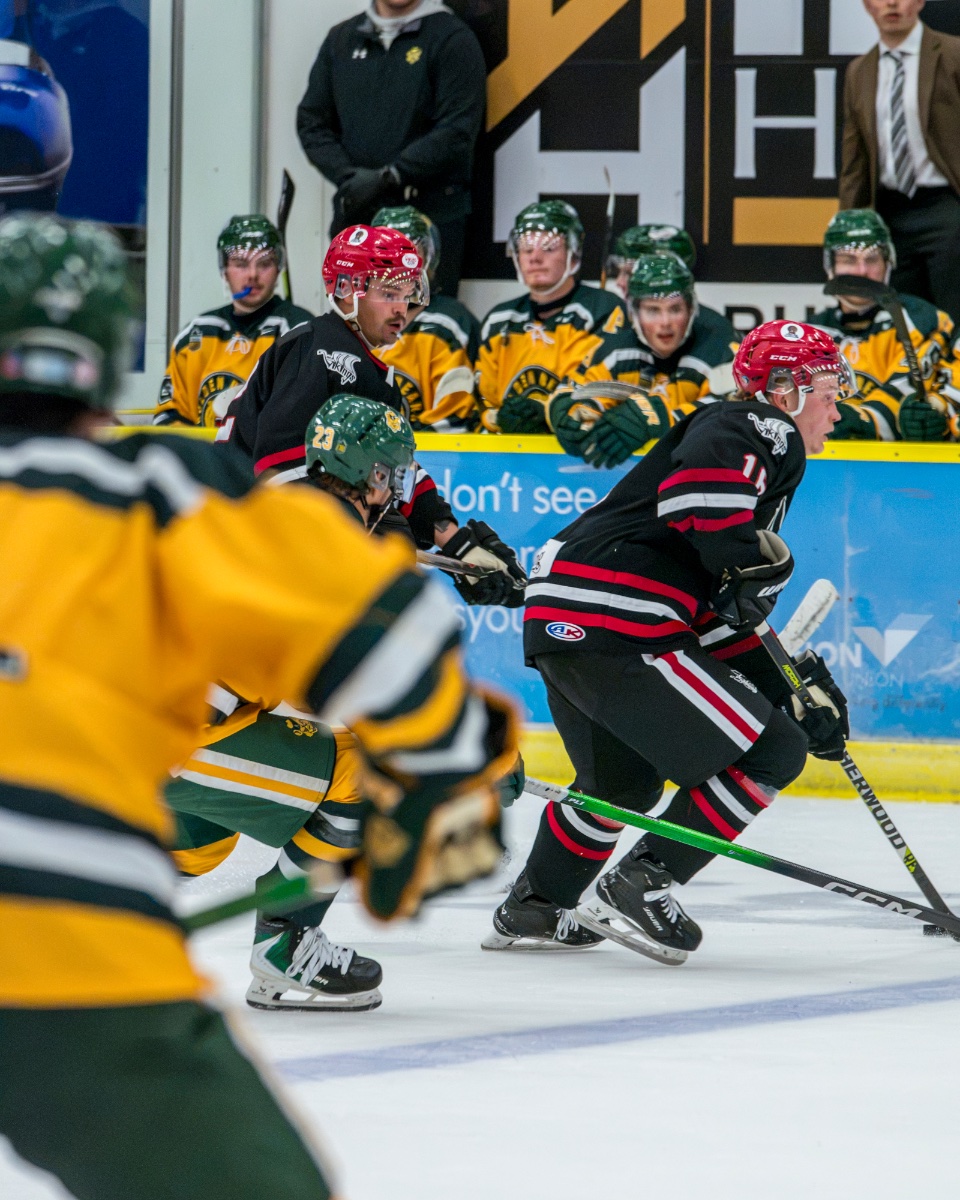 Photo from 🏒Vikings vs Golden Bears 9/12